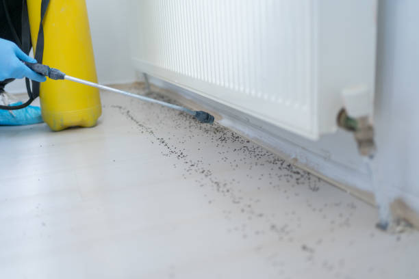 Best Mosquito Control Services  in Oneonta, NY